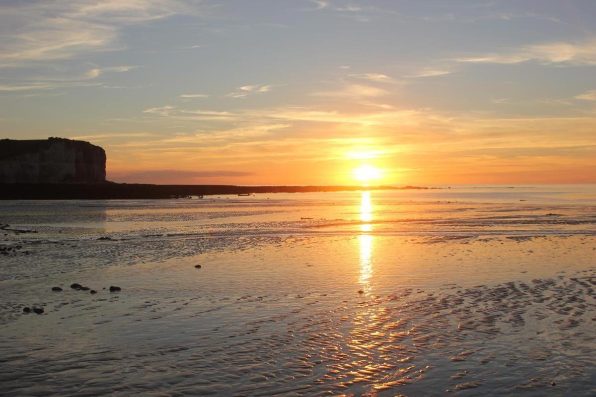 Contre Vents Et Marees Mesnil-Val-Plage